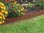Rasenkanten Cortenstahl 95 cm x 15 cm x 3 mm - 6er Set