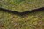 Rasenkanten Cortenstahl - Eckprofil 15 cm 135 Grad