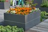 Hochbeet Urban Gardening Metall 0,75 m x 0,75 m x 0,3 m hoch - nach Farbkarte