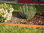 Rasenkanten Cortenstahl Edelrost 118 cm x 12 cm x 1 mm - 1er Set