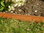 Rasenkanten Cortenstahl Edelrost 118 cm x 12 cm x 1 mm - 3er Set