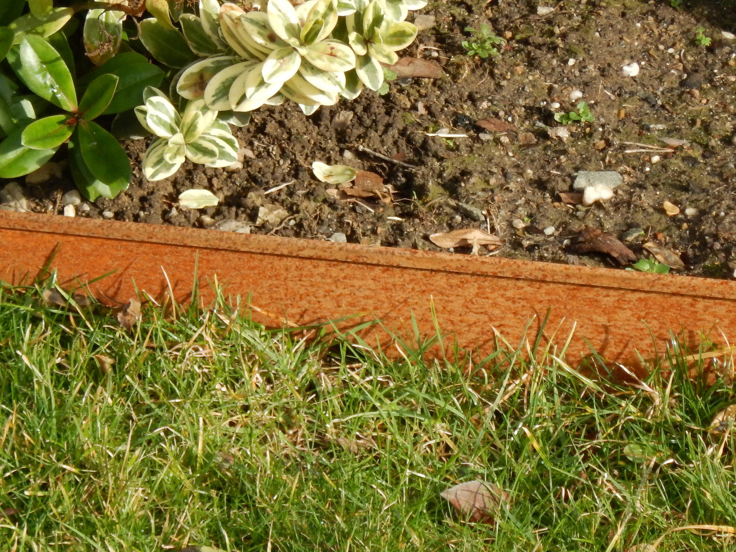 Rasenkanten Cortenstahl Edelrost 118 cm x 17,5 cm x 1 mm 1er Set 